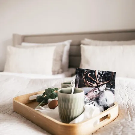 Hostit Cozy * 罗瓦涅米