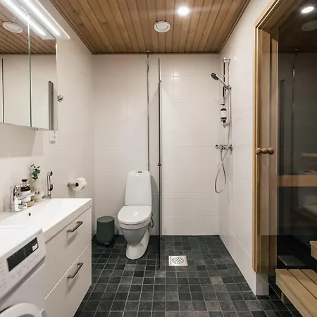 Hostit Cozy Apartment Rovaniemi