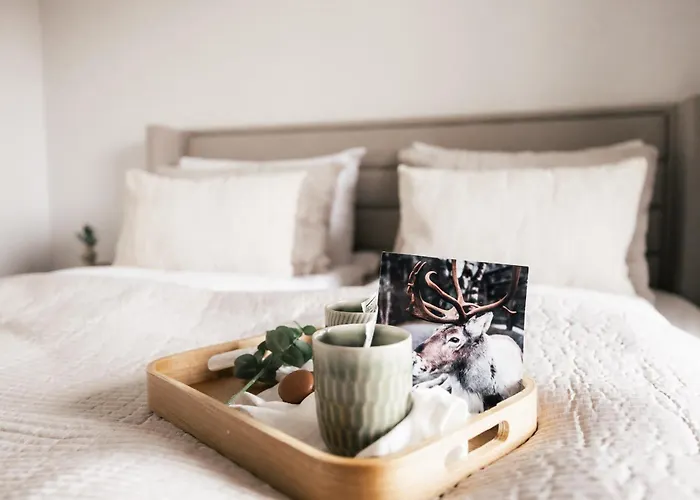 Hostit Cozy * 로바니에미