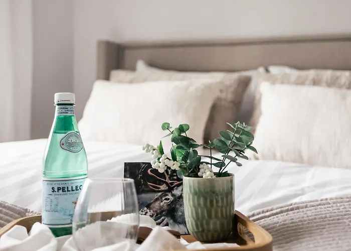 Hostit Cozy ロヴァニエミ